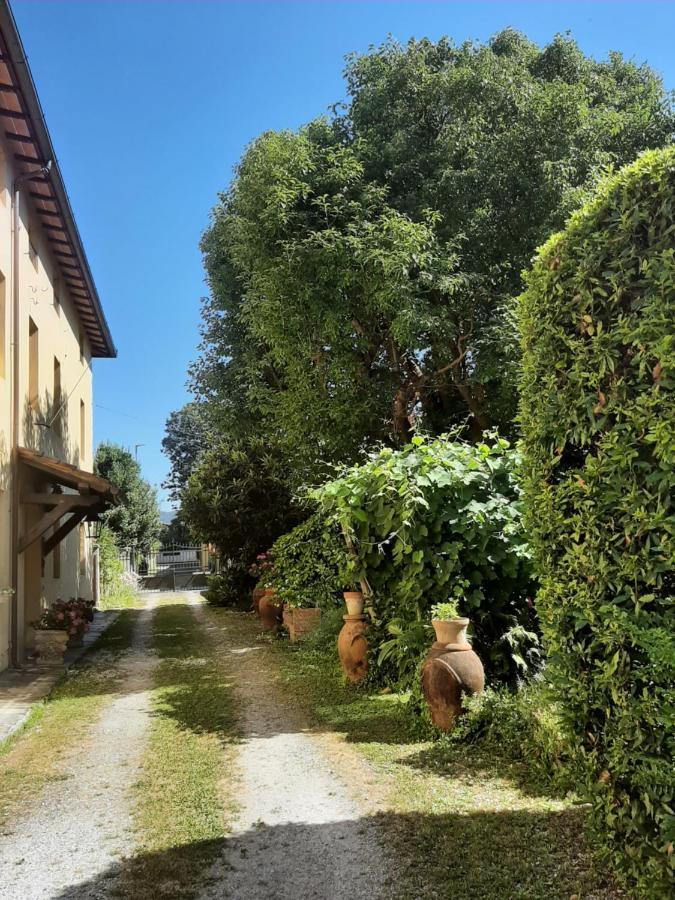 Antica Fattoria La Verdina Camaiore Extérieur photo
