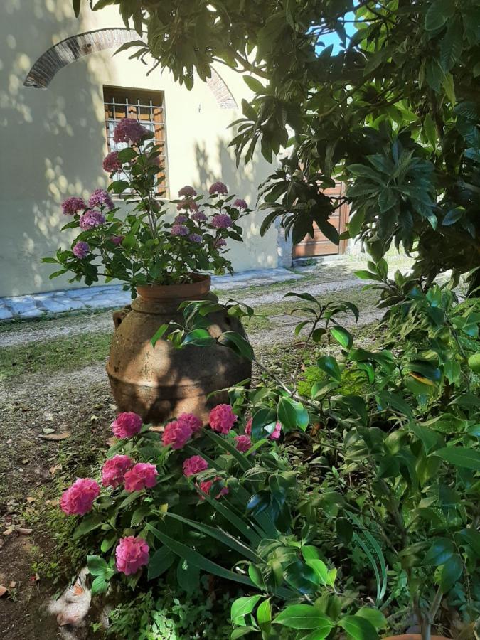 Antica Fattoria La Verdina Camaiore Extérieur photo